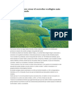 Colombia Quiere Crear El Corredor Ecológico Más Grande Del Mundo