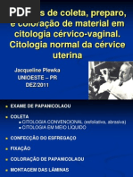Metodos coleta e coloracao Papanicolaou - Prof  Jacqueline Plewka.pdf
