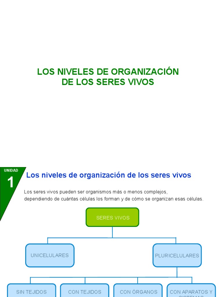 Organizacion de Los Seres Vivos | PDF | Organismos | Biología Celular)