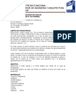 LIMITES DE CONSISTENCIA.docx