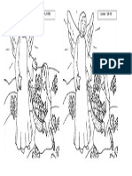 Anunciación Dibujo