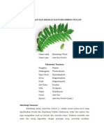 Download DAUN BELIMBING WULUH by Intan Helen Diarty SN260248603 doc pdf