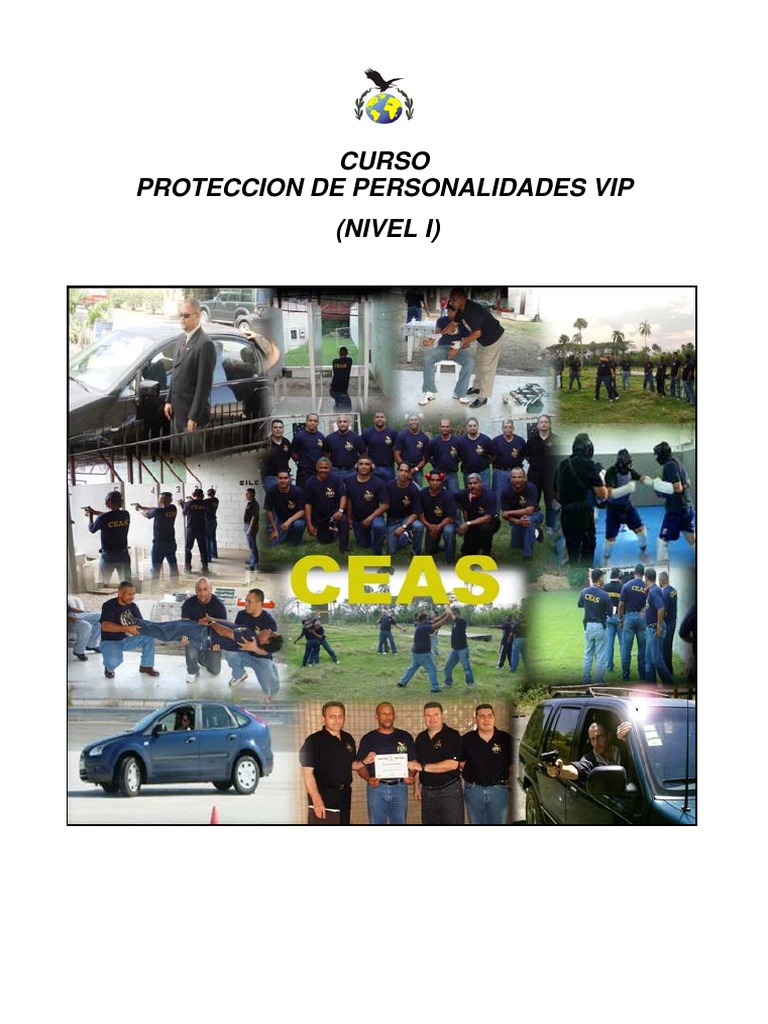 Curso Proteccion VIP.pdf