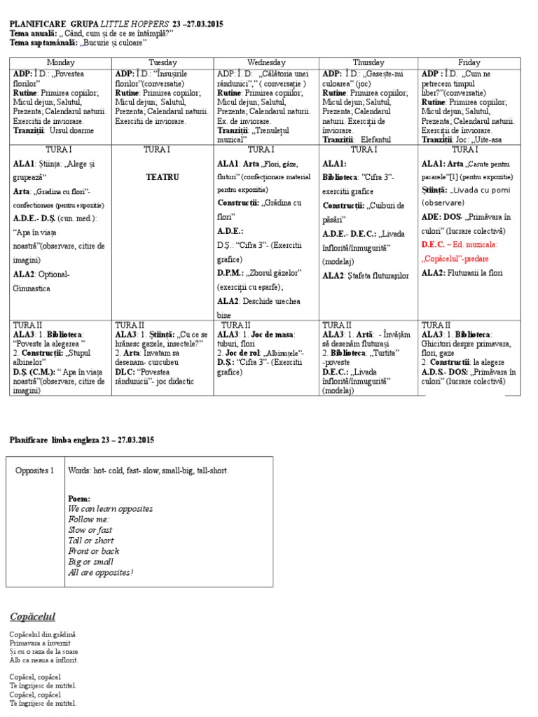 Planificare Grupa Mijlocie