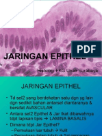 Jaringan Epithel