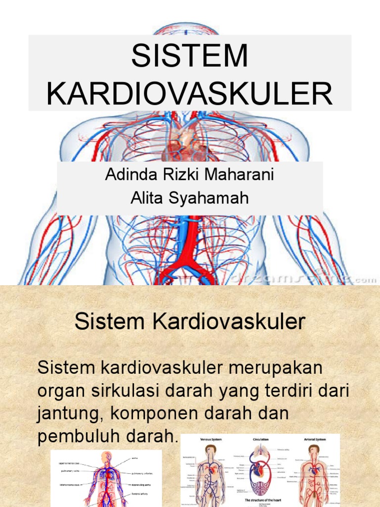 Pengertian Sistem Kardiovaskuler Pada Anatomi Fisiologi Tubuh Manusia