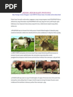 Download Jenis Jenis Sapi by Marlin Agustin SN260267672 doc pdf
