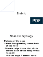Embrio idung