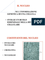 Nucleo e Genoma