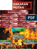 Kebakaran Hutan