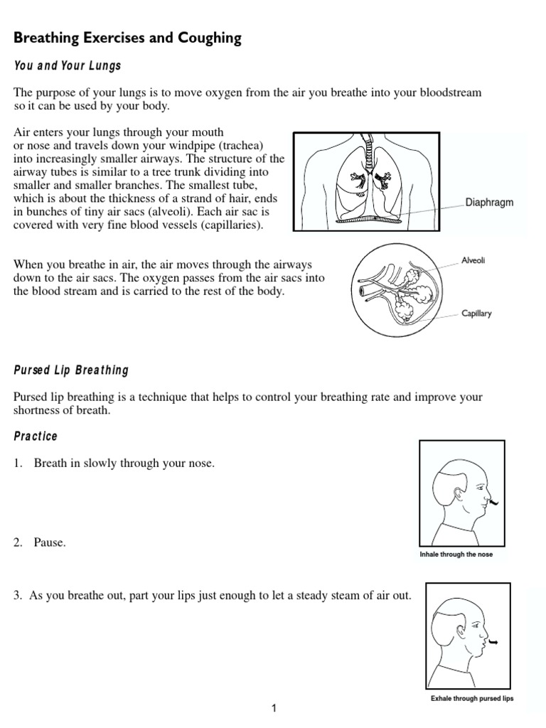 Pursed Lip Breathing | PDF | Breathing | Respiratory Tract