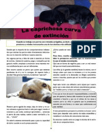 Revista Canina Página 20