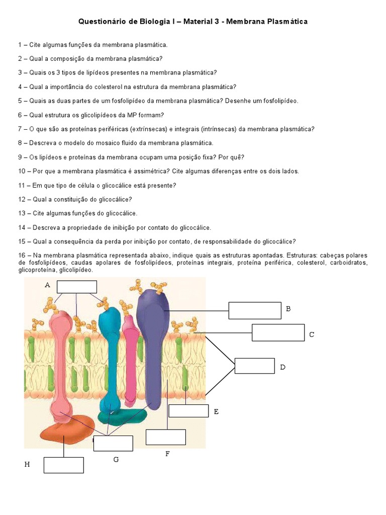 Questões sobre Membrana Plasmática | PDF | Ciências e Matemática