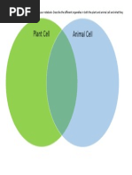 venn diagram- plant and animal cells