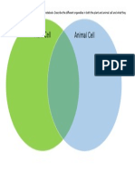 Venn Diagram - Plant and Animal Cells