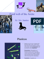 Food Web of the Arctic