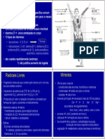 Vitaminas e Micronutrientes