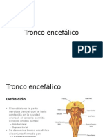 Anatomia- tronco encefalico