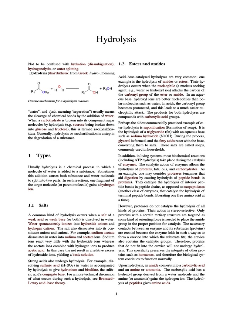 Hydrolysis: 1 Types | PDF | Hydrolysis | Molecules