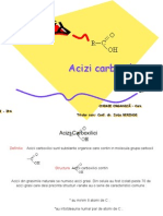 Acizi Carboxilici PDF