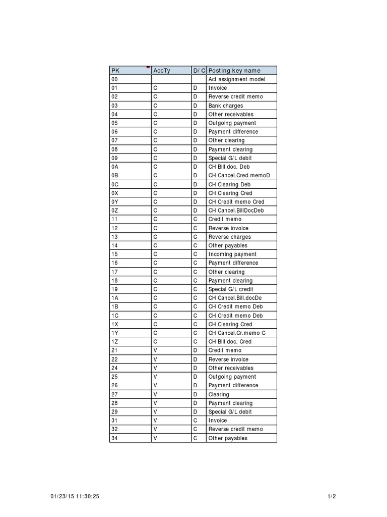 Accounting Posting Key Guide | PDF
