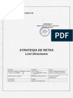 1311 Strategie Retea Linii Directoare