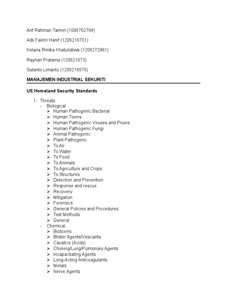 Security Standards PDF Information Security Audit