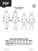 Lund and Browder Chart: Burn Calculations Rule of Nines