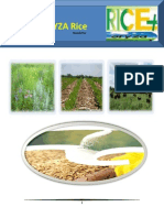 30th March, 2015 Daily ORYZA Rice E-Newsletter by Riceplus Magazine