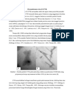 Chrysanthemum Virus B 