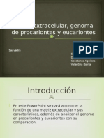 Matriz Extracelular, Genoma de Procariontes y Eucariontes