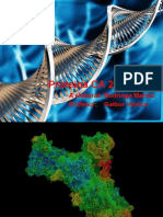 Proteina CA 2+ ATP-aza