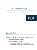 MIcrobiologa - GRAM