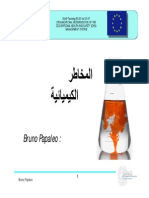 Chemical Risks (Papaleo) - Arabic