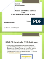 RT-PCR SYBR Green