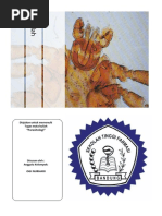 Download parasitologi - Tuma  Kutu by OuGhie Nh SN26040611 doc pdf