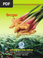 Download Ginger by Shreesh Otta SN260407051 doc pdf