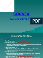 Dr. Jannes Fritz Tan - Kornea