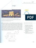 Biochemia Stryer - 17. Cykl Kwasu Cytrynowego