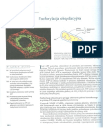 Biochemia Stryer - 18. Fosforylacja Oksydacyjna