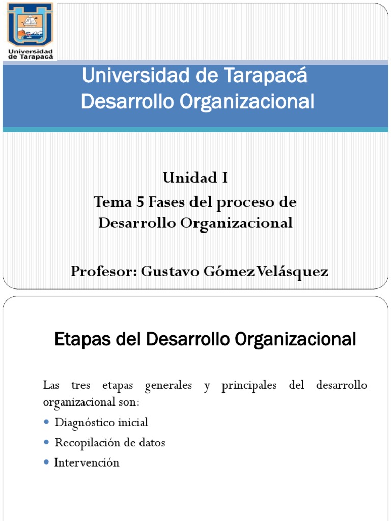 I Tema 5 Fases Del Proceso de Desarrollo Organizacional PDF | PDF