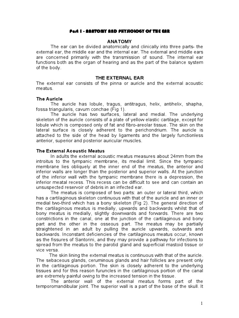 Anatomy and Physiology of the Ear | PDF | Ear | Auditory System