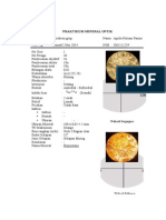 Laporan Mineral Optik Piroksen Grup