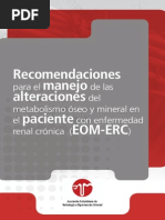 Guias oseo mineralERC(1) - Copiar.pdf