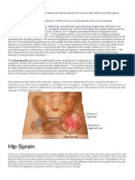 Ligaments Hip