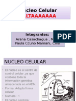 Nucleo Imagen
