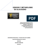 Glucogenosisoglucogenopatiasestudiantesuptc2011 110328133222 Phpapp02