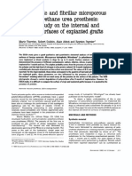 hydrophobic and fibrillar microporous.pdf