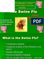 The Swine Flu