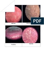 Histologi Full